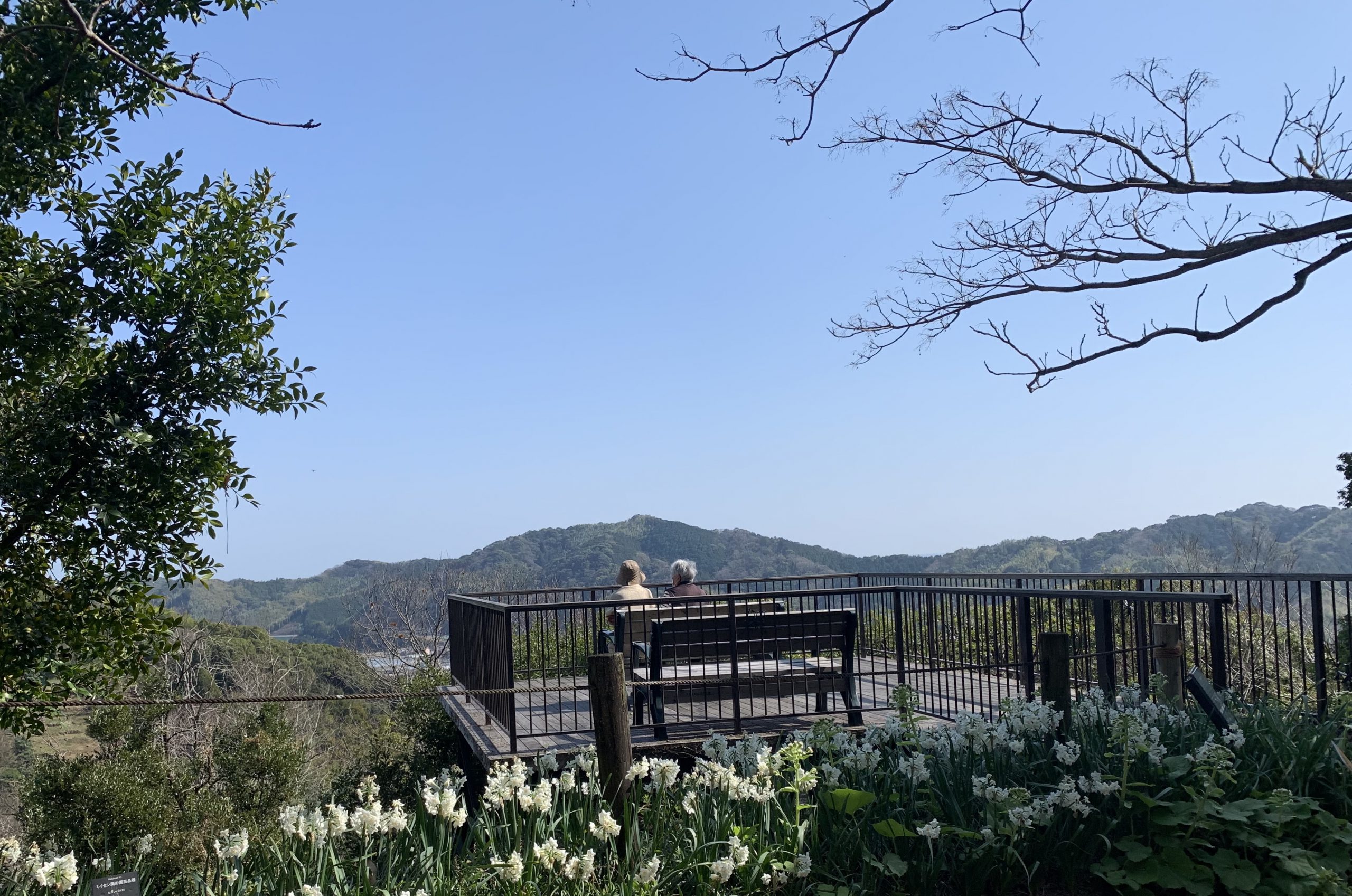 高知県立牧野植物園の春 2021.3.10撮影