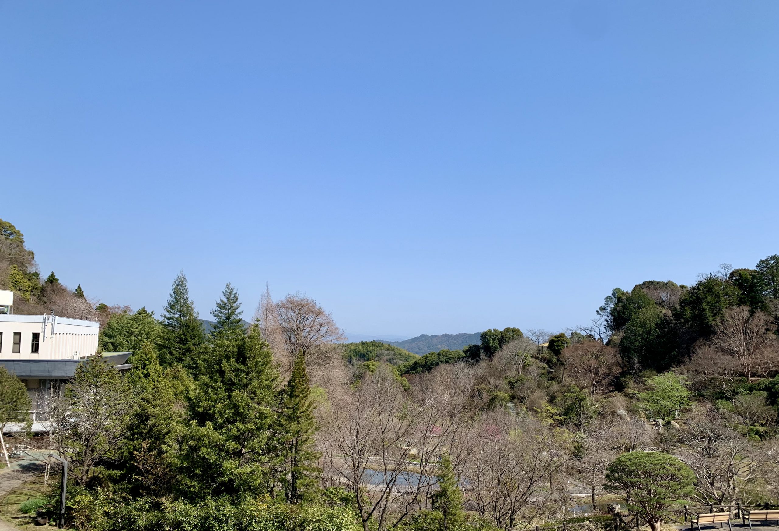高知県立牧野植物園の春 2021.3.10撮影