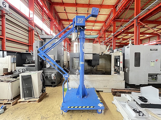 バラマン(UMK339)